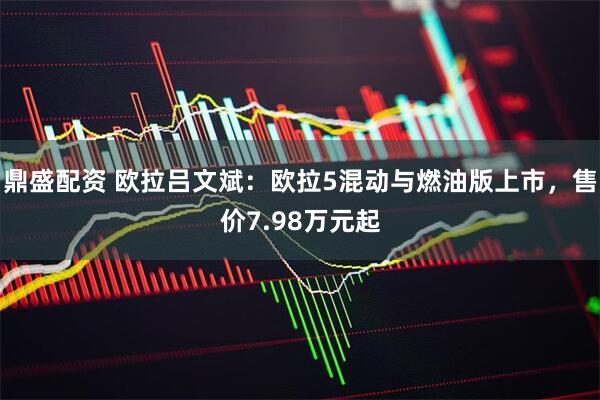 鼎盛配资 欧拉吕文斌：欧拉5混动与燃油版上市，售价7.98万元起